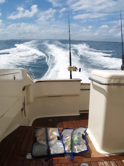 11.6m Sportfish — LOMOcean design #0001