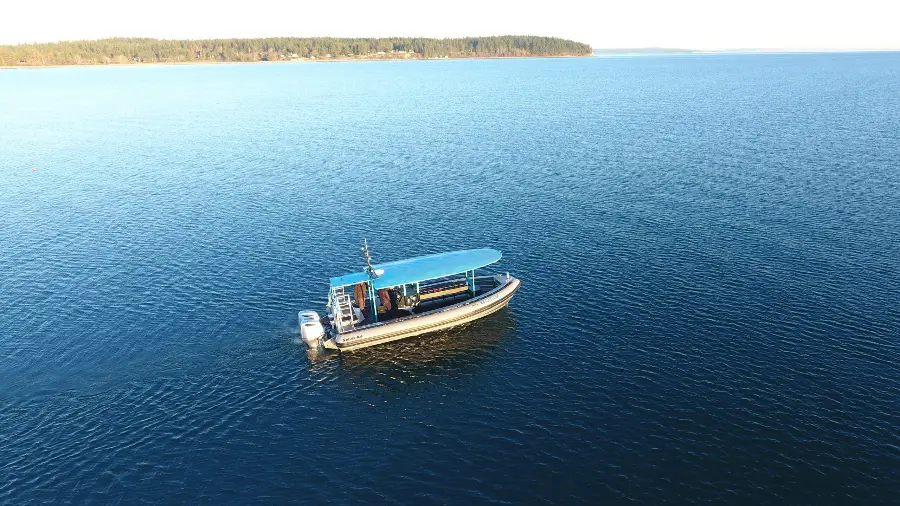 8m RIB Kona Dive Charter Boat Keala — LOMOcean design #1625