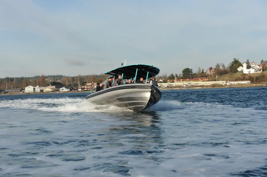 8m RIB Kona Dive Charter Boat Keala — LOMOcean design #1625