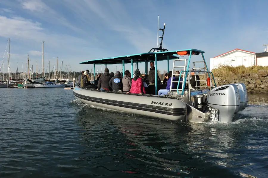 8m RIB Kona Dive Charter Boat Keala — LOMOcean design #1625