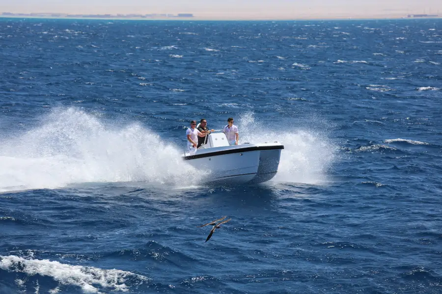 6m Foil Assisted Catamaran tender — LOMOcean design #1602