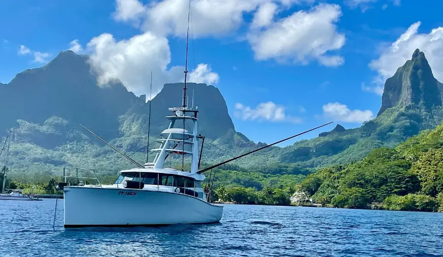 14.9m  Gamefisher SeaWolf — LOMOcean design #1510
